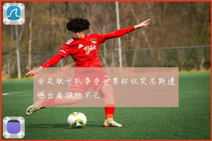 非足联十队争夺世界杯仅突尼斯遗憾出局尴尬不已